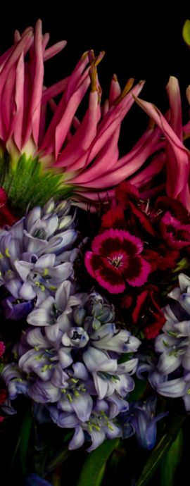 Botanical