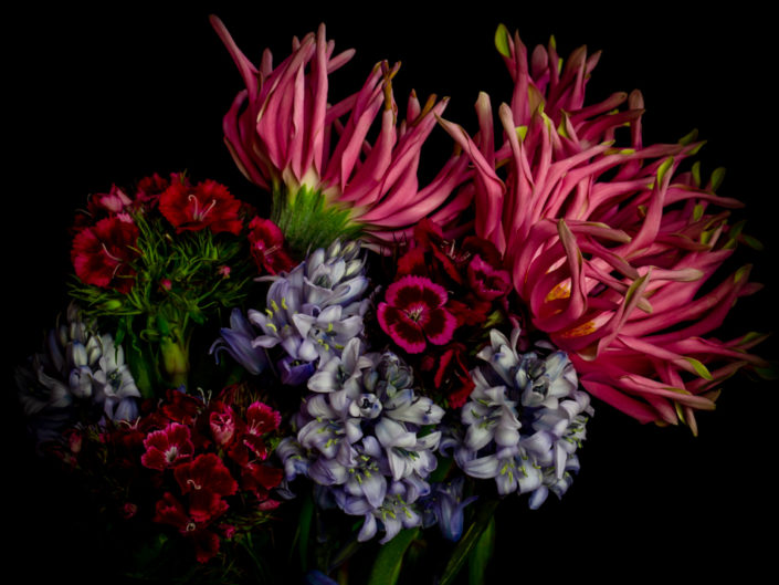 Botanical